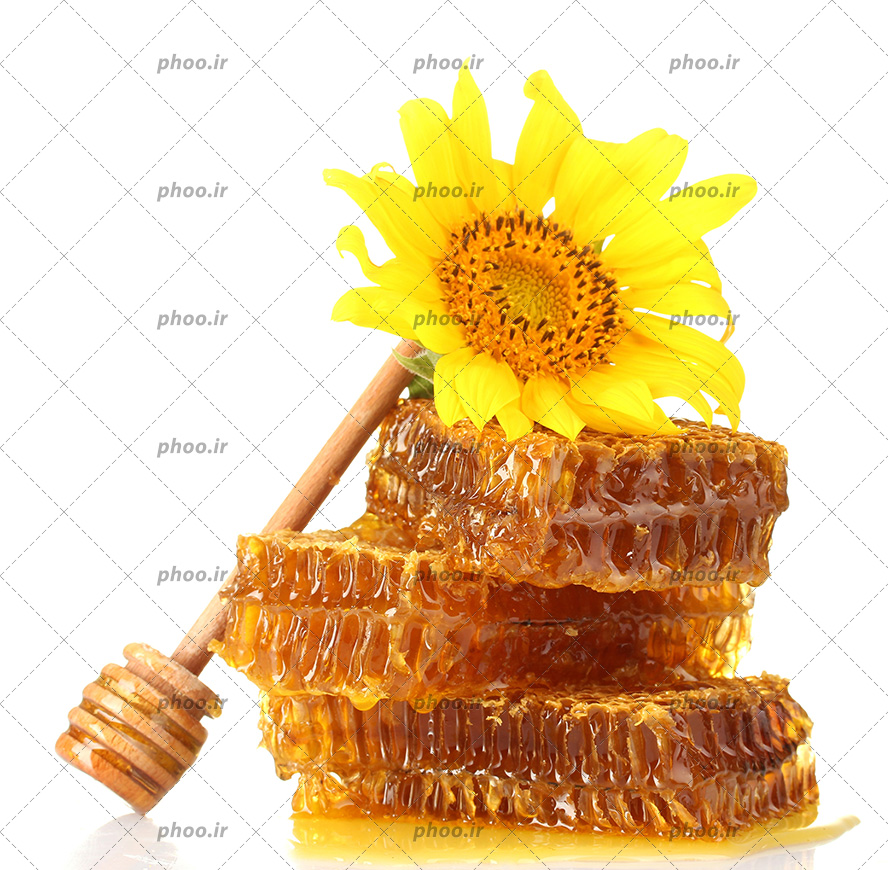 عکس با کیفیت سه موم عسل چیده شده بر روی یکدیگر و گل آفتابگردان بر روی آنها و قاشق عسل خوری در کنارشان