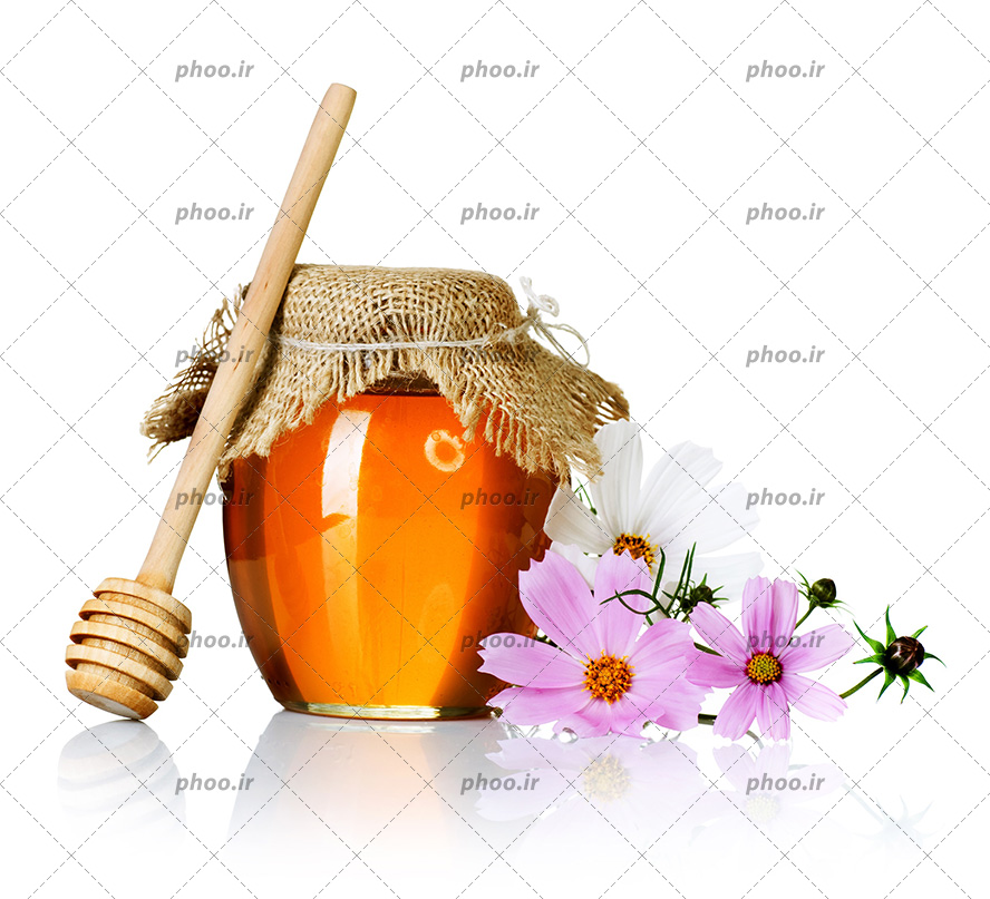 عکس با کیفیت شیشه عسل در کنار قاشق چوبی عسل در کنار گل های بنفش و سفید در بک گراند سفید