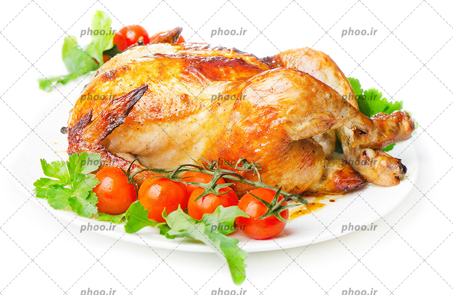 عکس با کیفیت مرغ بریان تزئین شده با گوجه و سبزیجات در ظرف چینی سفید