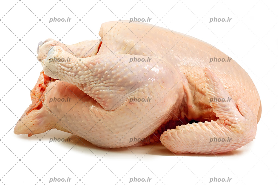 عکس با کیفیت مرغ خام از نمای نزدیک در بک گراند سفید