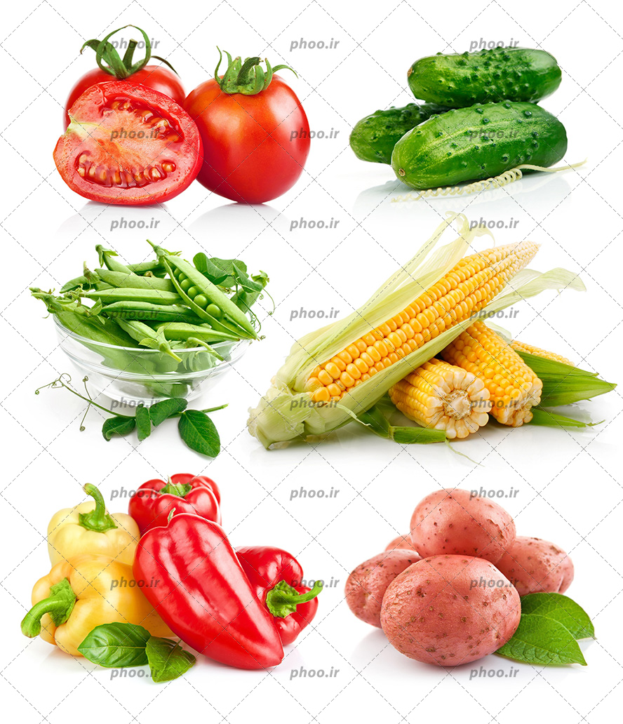 عکس با کیفیت گوجه های تازه در کنار خیار ها و بلال ها و نخود سبز ها و سیب زمینی و فلفل قرمز و زرد در کنار یکدیگر در بک گراند سفید