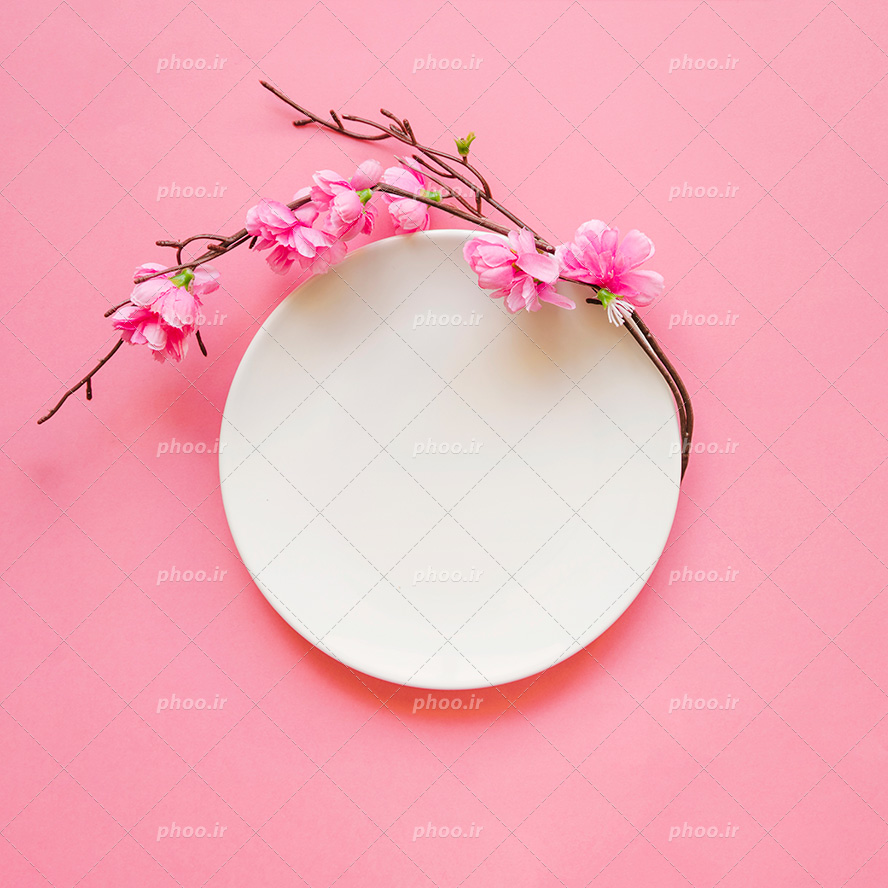 عکس با کیفیت سفال سفید به صورت قاب گرد و تزئین شده با گل های صورتی زیبا در بک گراند صورتی