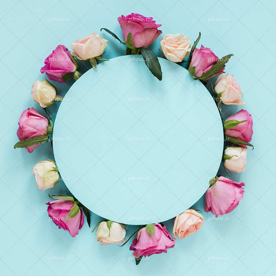 عکس با کیفیت تابلو به صورت دایره و گل های رز سفید و صورت در اطرافش و پس زمینه به رنگ آبی