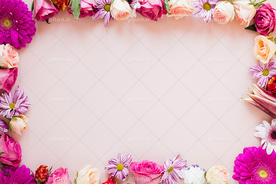 عکس با کیفیت گل های صورتی چیده شده در کنار یکدیگر به شکل قاب