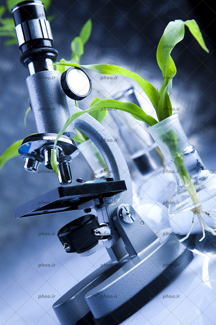 عکس با کیفیت گیاه در داخل بالن ته صاف و میکروسکوپ در کنارش