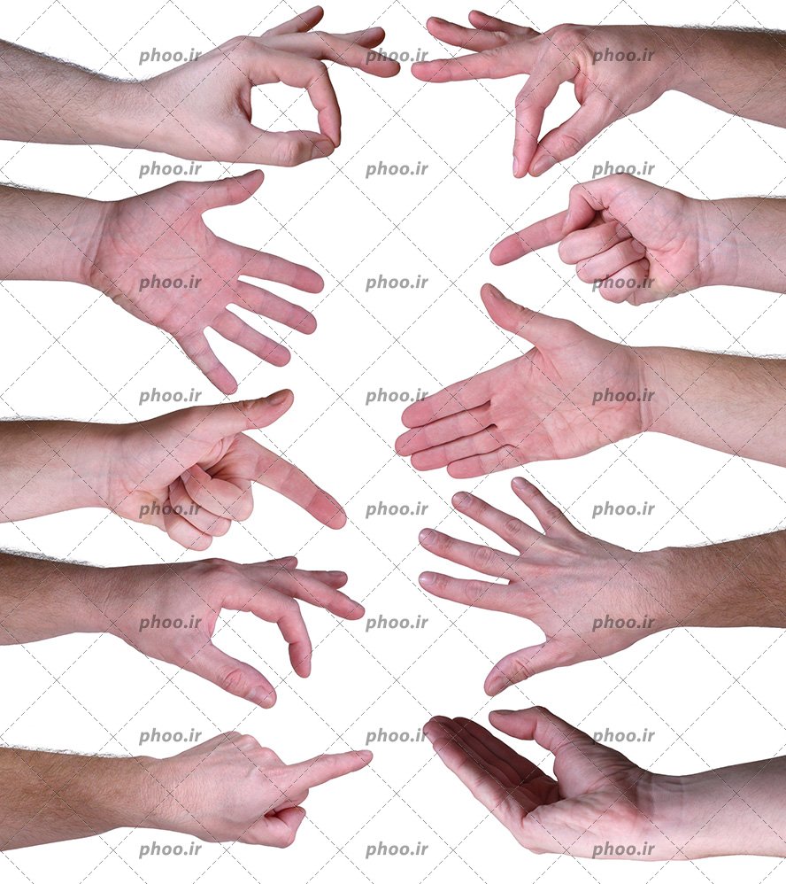 عکس با کیفیت اشارات دست و زبان بدن در کنار یکدیگر در پس زمینه سفید