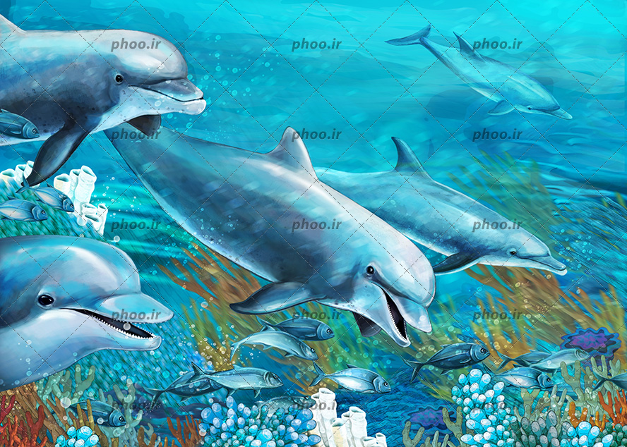 عکس با کیفیت نقاشی دلفین ها در حال شنا در اعماق دریا و آب های تمیز و ماهی های کوچک در اطرافشان و گیاهان دریایی در کف اقیانوس
