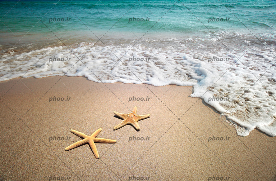 عکس با کیفیت دریا و ساحل و دو ستاره دریایی بر روی ماسه های ساحل
