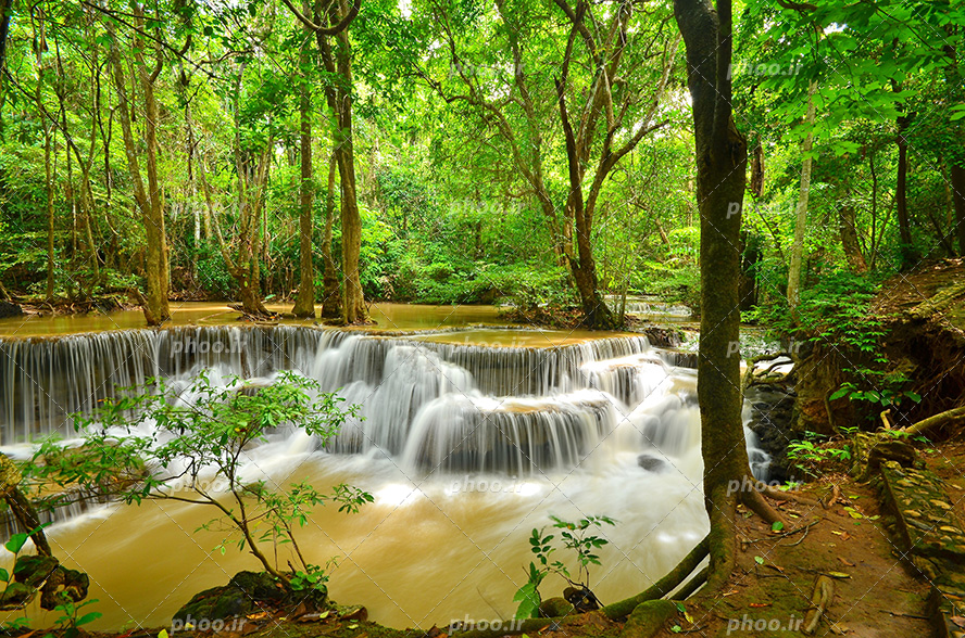 عکس با کیفیت جنگل های سرسبز و آبشار های منتهی به رودخانه