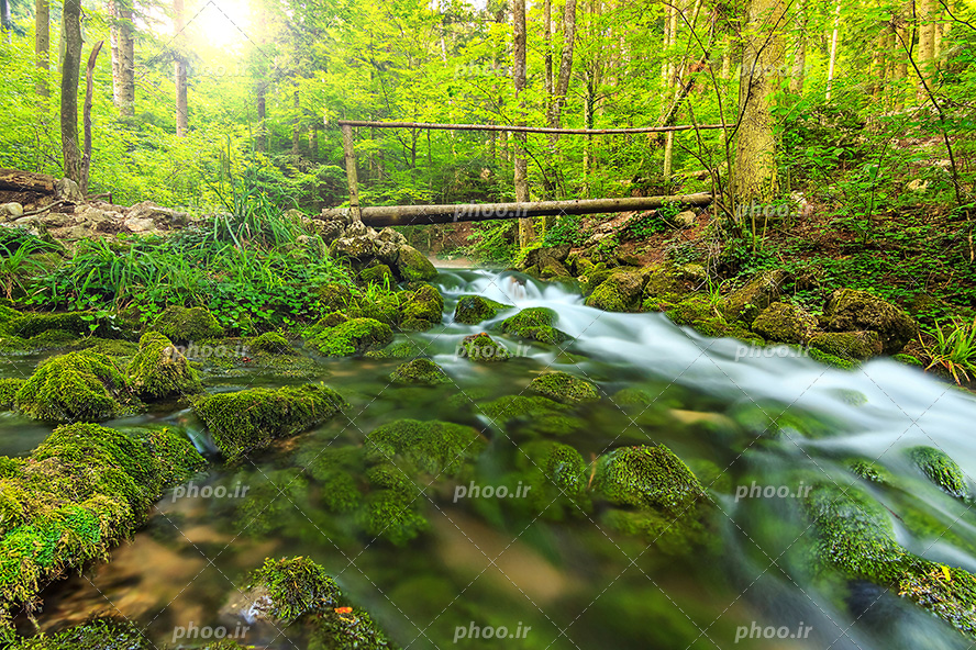 عکس با کیفیت پل چوبی بر روی رودخانه و جنگل سرسبز و رودخانه پر از سنگ های بزرگ و کوچک و جلبک ها در آب رودخانه