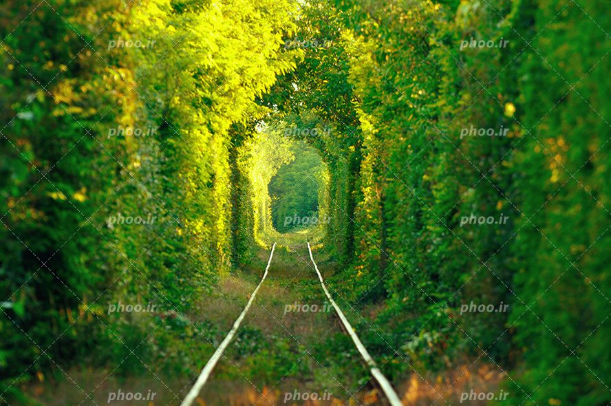 عکس با کیفیت ریل در بین جنگل سرسبز به شکل تونل