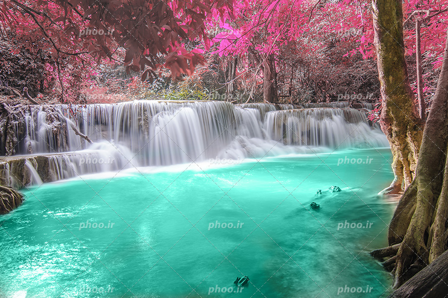 عکس با کیفیت دریاچه با آب شفاف و آبشار بسیار زیبا جاری شده از وسط جنگل با درختان زیبا با برگ های صورتی