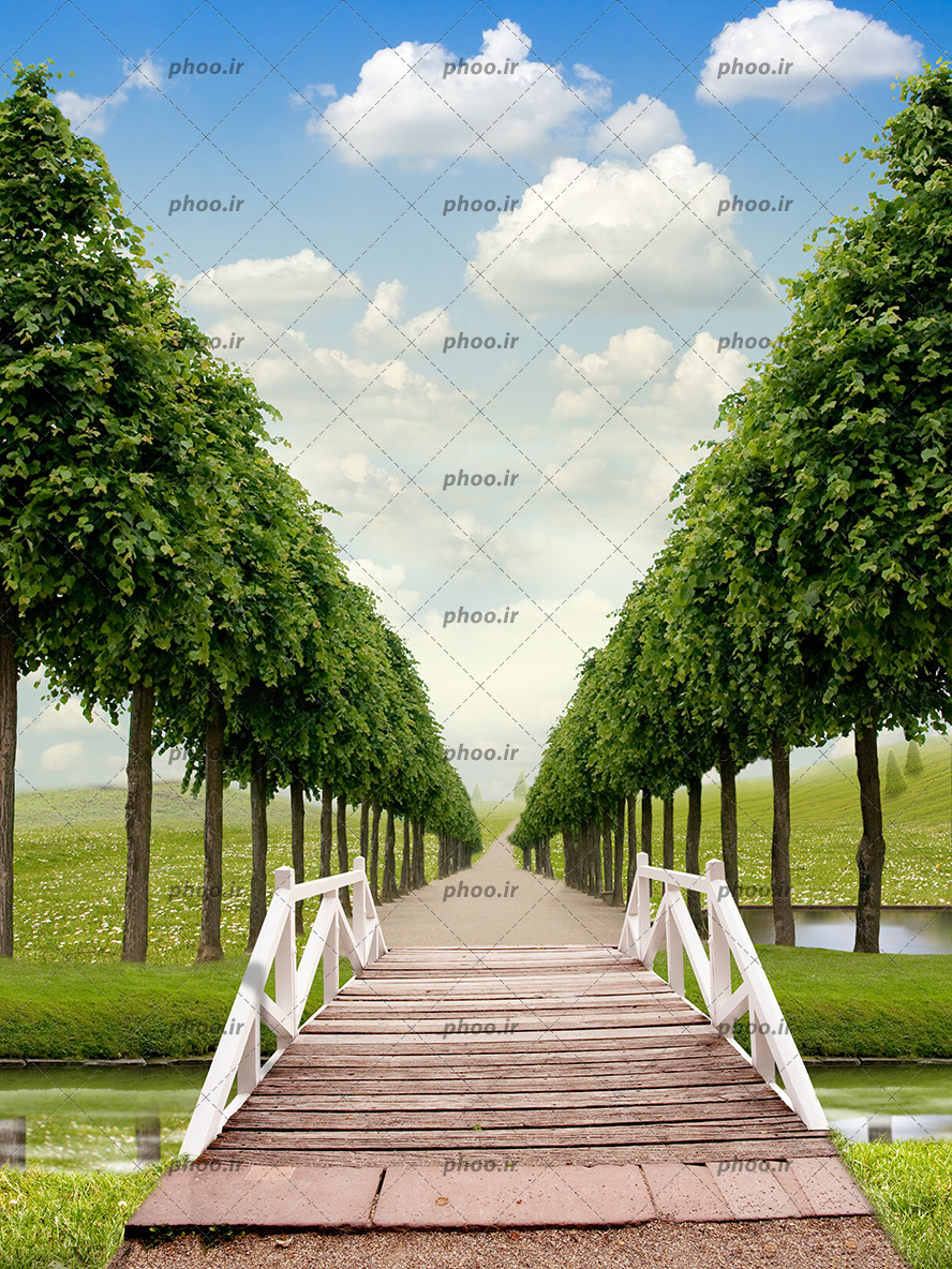 عکس با کیفیت پل چوبی بر روی رودخانه و درختان سبز در هر دو طرف راه باریک