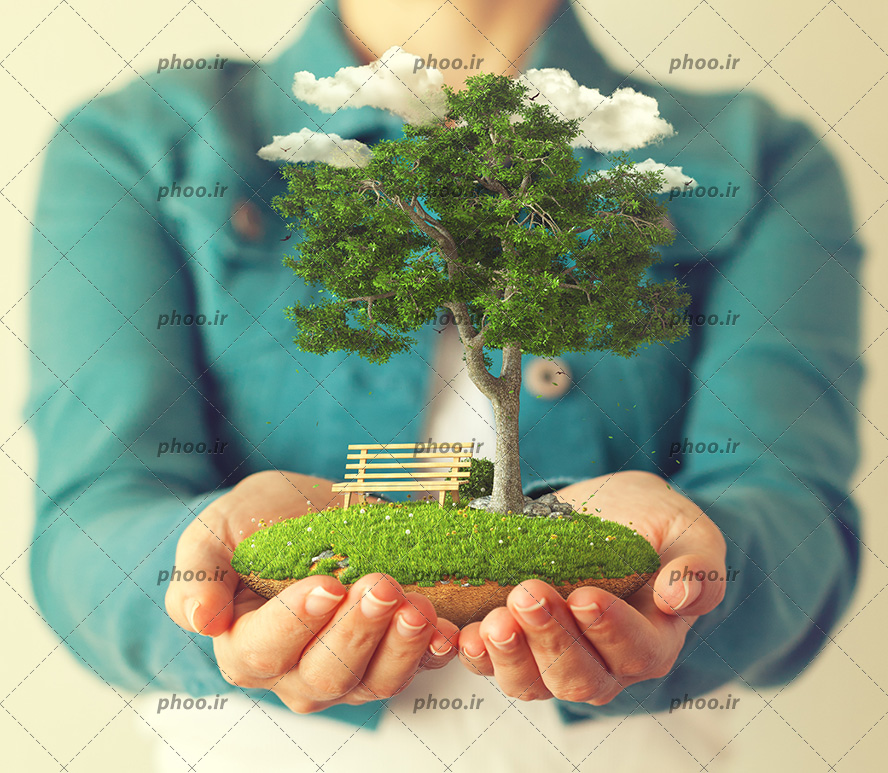 عکس با کیفیت یک تکه زمین سرسبز به همراه نیمکت چوبی و درخت سبز و ابر های سفید در دستان زن