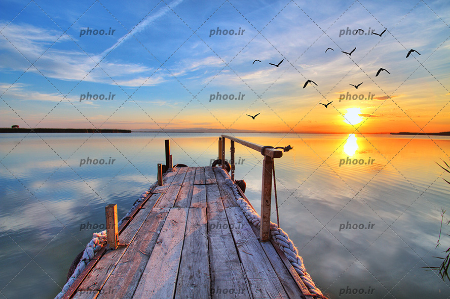 عکس با کیفیت پرنده ها در حال پرواز در آسمان و خورشید در حال غروب و پل و اسکله بر روی دریاچه