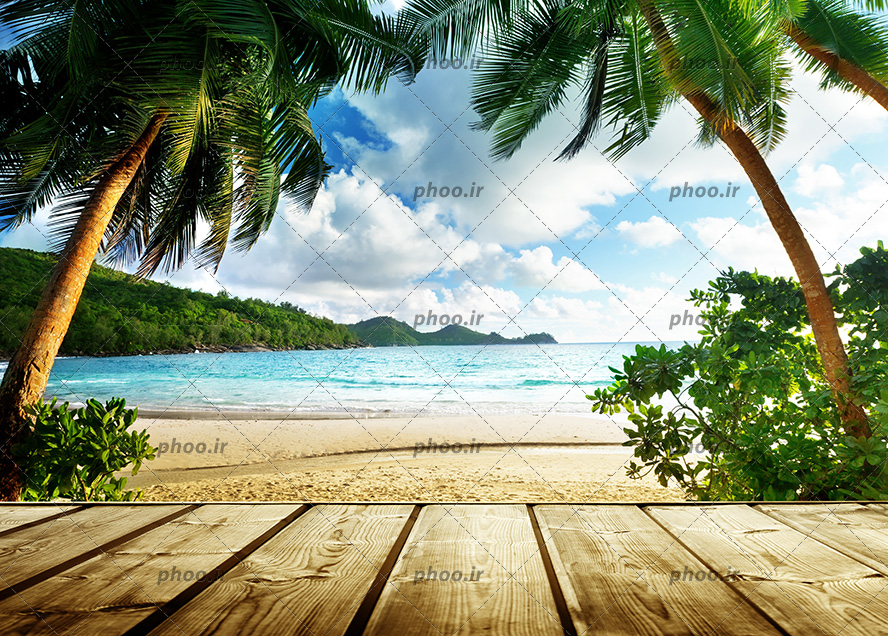 عکس با کیفیت درختان زیبا در کنار ساحل جزیره و نیمکت چوبی برای نشستن و پیک نیک