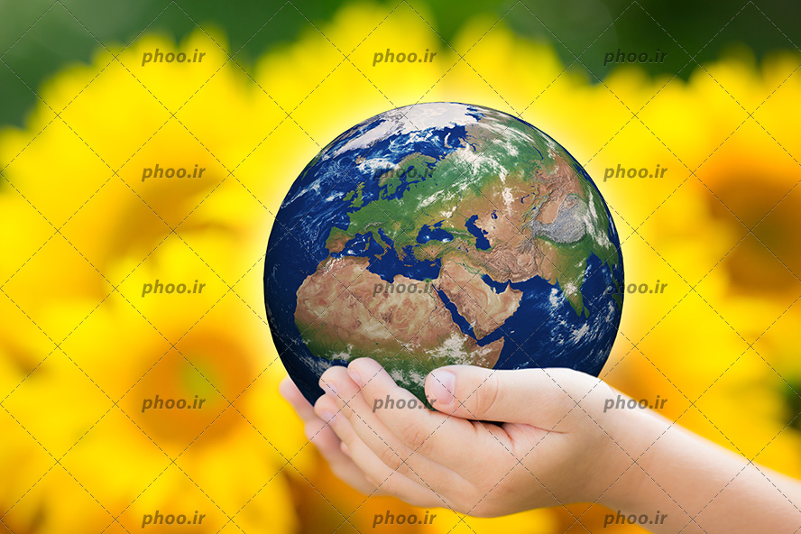 عکس با کیفیت کره زمین در حال نشان دادن قاره آسیا در دستان کودک و گل های آفتاب گردان در پس زمینه