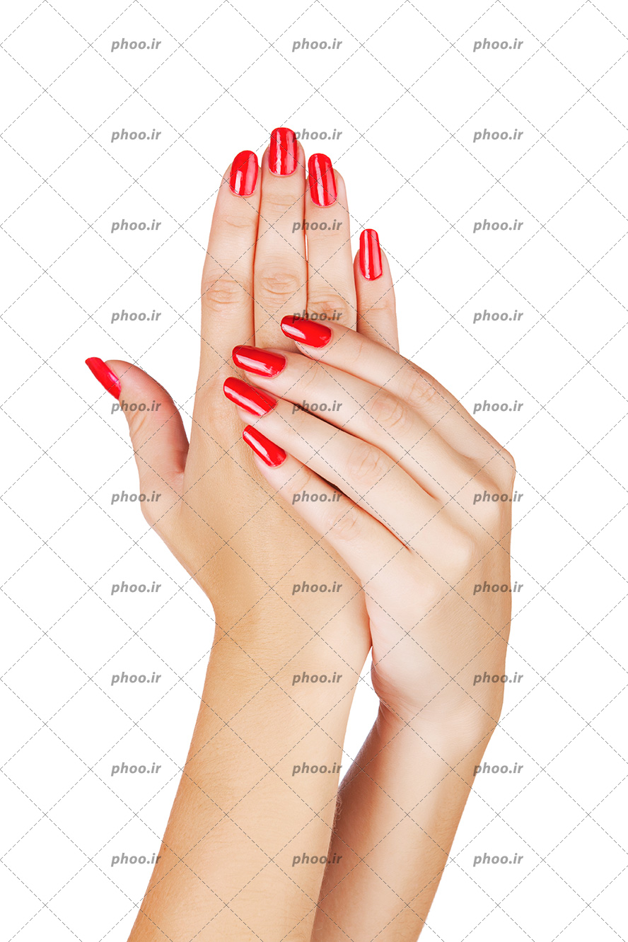 عکس با کیفیت دستان زن با پوست لطیف و صاف و ناخن های لاک زده به رنگ قرمز آلبالویی
