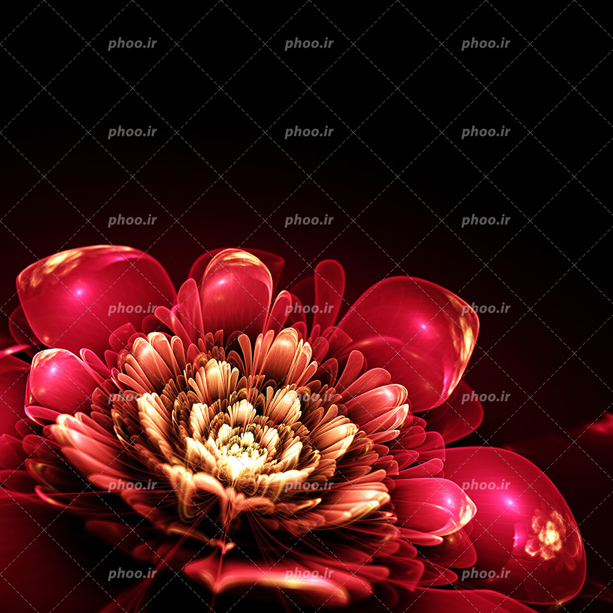 عکس با کیفیت نقاشی دیجیتالی از گل زیبا به رنگ قرمز و طلایی براق در پس زمینه مشکی