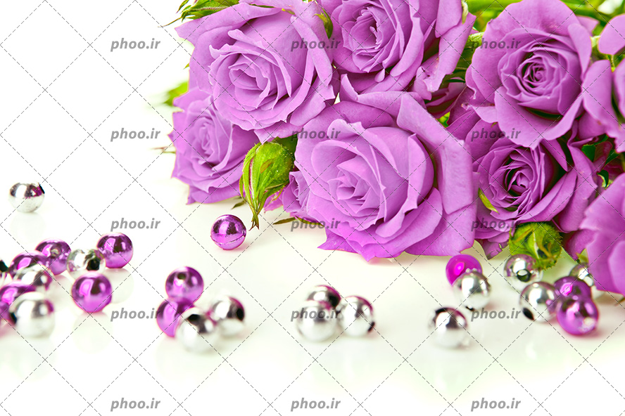 عکس با کیفیت مروارید های نقره ای و بنفش در کنار گل های رز بنفش