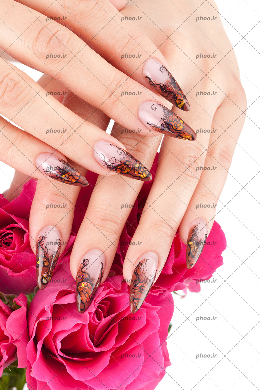 عکس با کیفیت طرح پروانه بر روی ناخن های زن و دست زن بر روی گل های رز صورتی