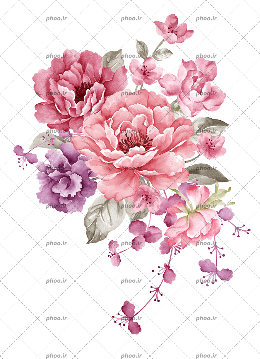 عکس با کیفیت نقاشی گل های دیجیتالی صورتی و بنفش در کنار یکدیگر بر روی صحفه سفید