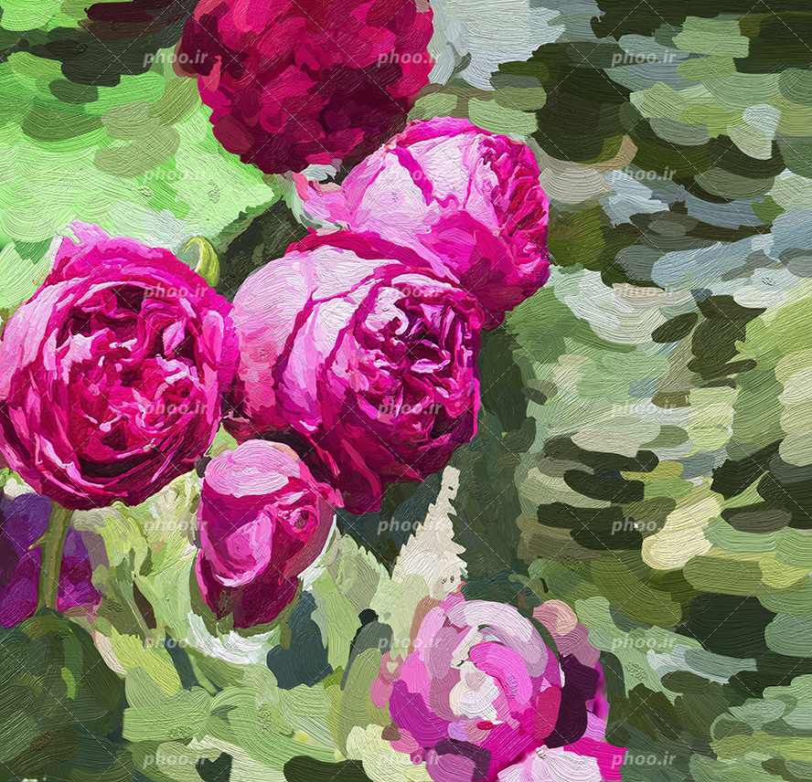 عکس با کیفیت نقاشی رز های زیبا به رنگ صورتی در باغچه سرسبز
