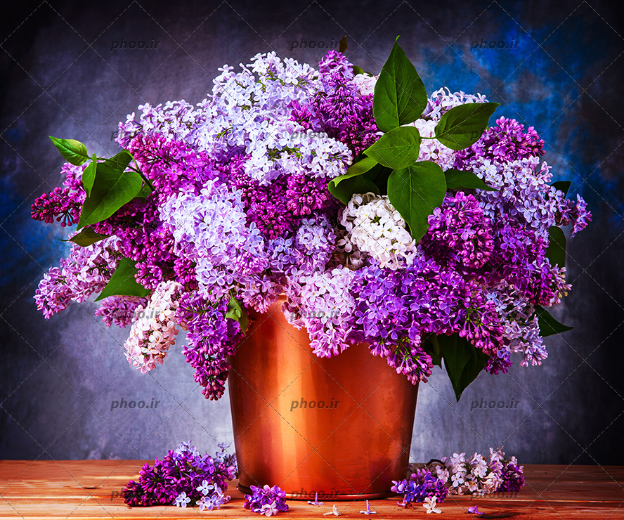 عکس با کیفیت دسته گل بنفش زیبا داخل سطل بر روی میز چوبی