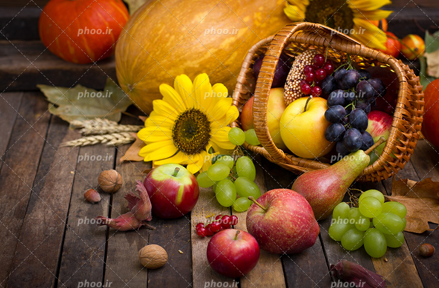 عکس با کیفیت میوه های ریخته شده بر روی میز چوبی از داخل سبد حصیری در کنار کدو ها