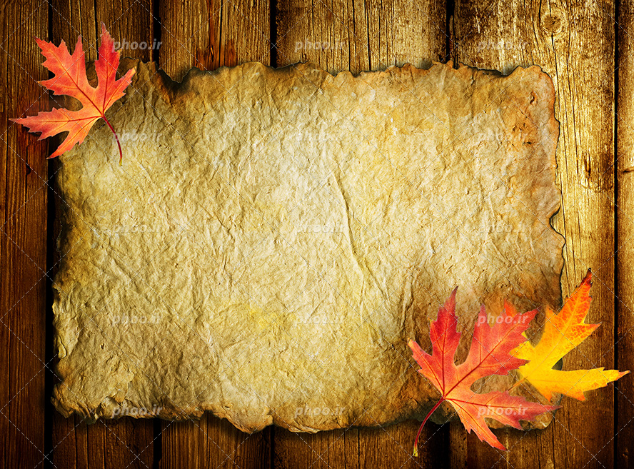 عکس با کیفیت چند برگ پاییزی بر روی کاغذ کاهی سوخته شده قرار گرفته بر روی میز