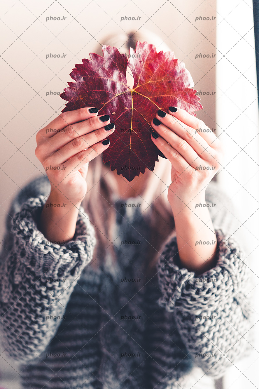 عکس با کیفیت برگ قرمز زیبا در دستان لاک زده به رنگ مشکی دختر با موهای بلوند و بافت طوسی بر تن او