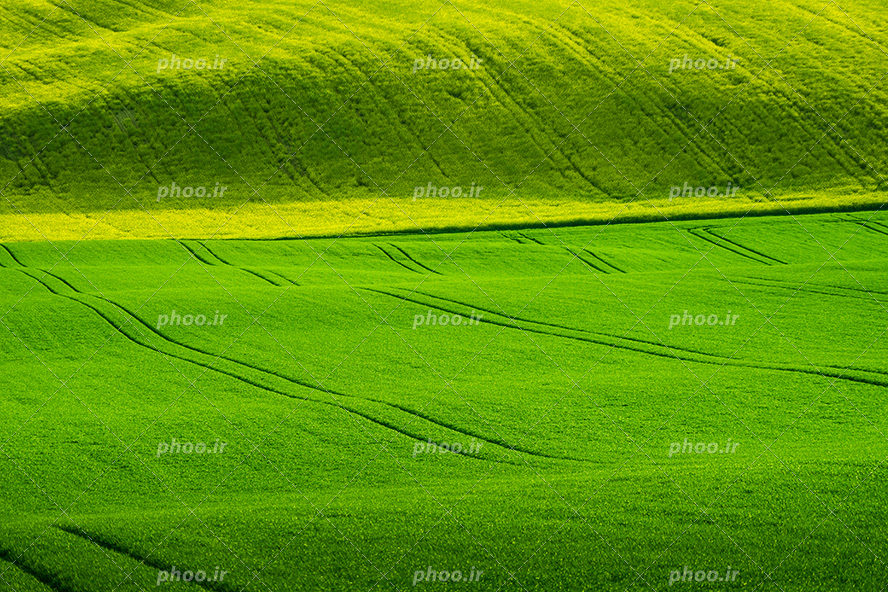عکس با کیفیت تپه های سر سبز و حاصلخیز