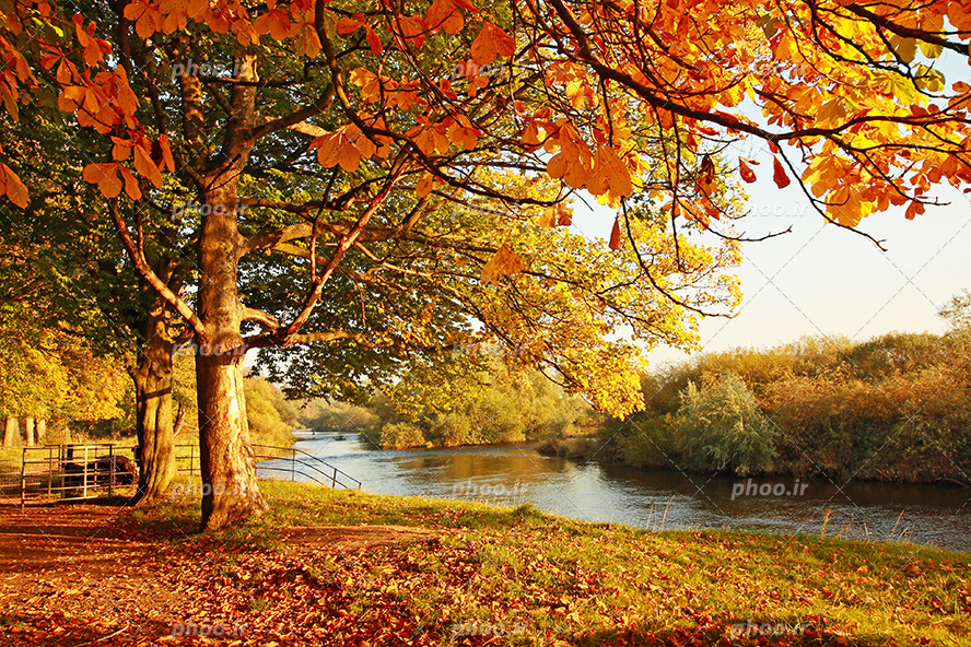 عکس با کیفیت درخت های پاییزی در کنار رودخانه و پل آهنی در کنار رودخانه
