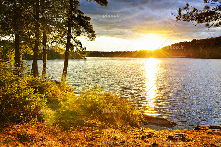 عکس با کیفیت و بسیار زیبای خورشید در حال طلوع در نزدیکی دریاچه آرام با درختانی در اطراف