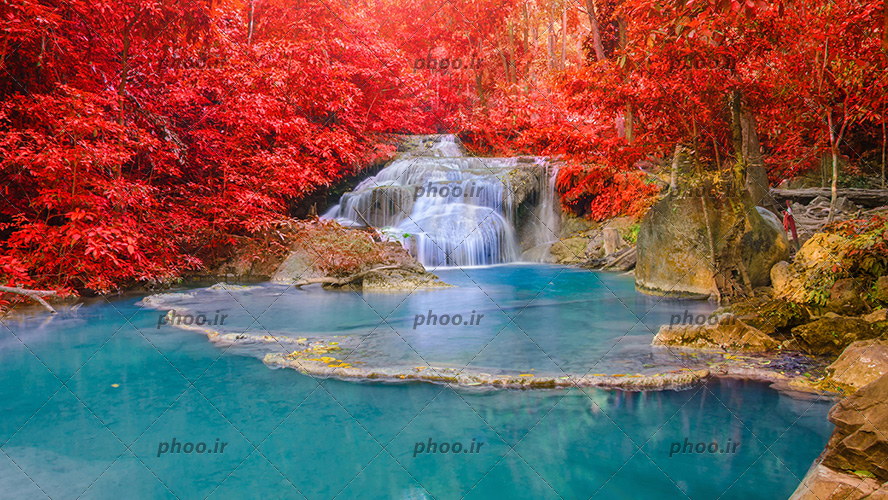 عکس با کیفیت جنگل زیبا و درختان با برگ های قرمز در اطراف رودخانه و آبشار