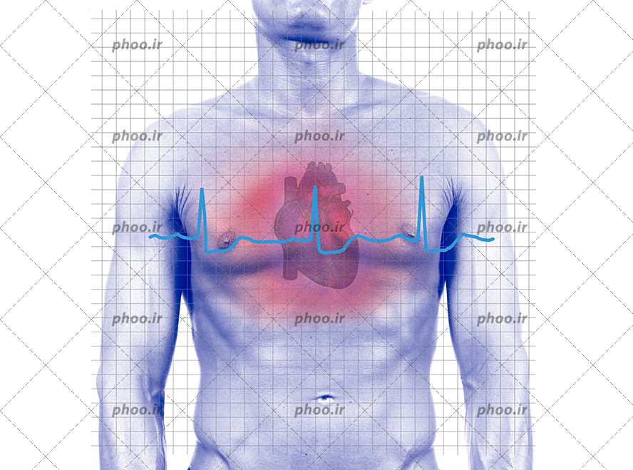 عکس با کیفیت بدن مرد به رنگ آبی و قلب او در سینه و نمودار ضربان قلب در حال نشان دادن وضعیت