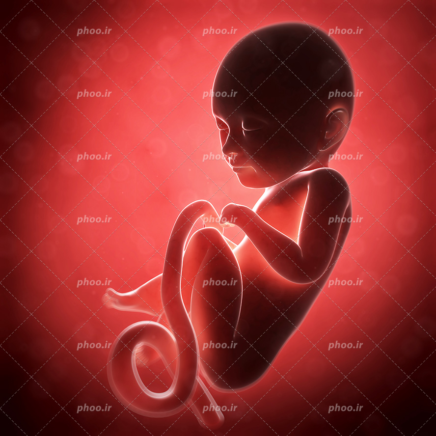 عکس با کیفیت جنین در ماه پنجم داخل رحم مادر و وصل به بند ناف