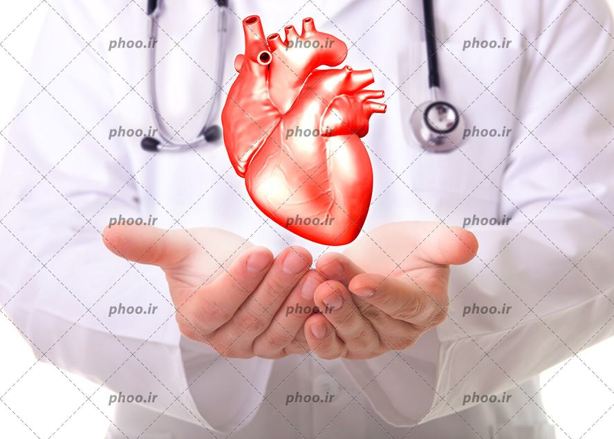 عکس با کیفیت قلب در دست پزشک و پزشک با روپوش سفید و استتوسکوپ بر گردن