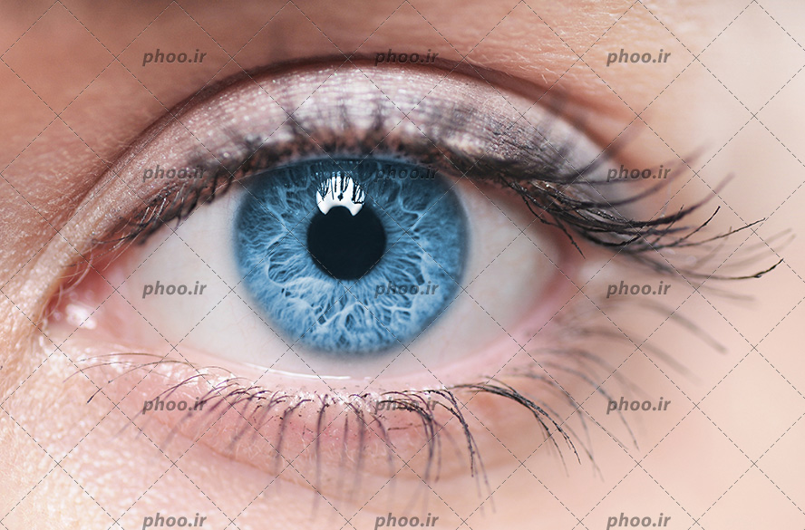عکس با کیفیت چشم زن با مژه های بلند و پر پشت و قرنیه چشم به رنگ آبی از نمای نزدیک