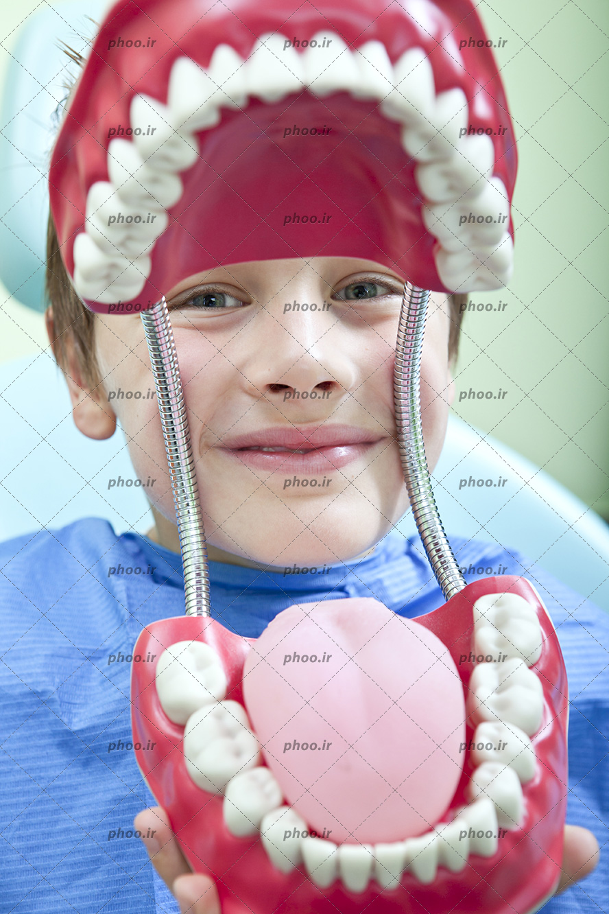 عکس با کیفیت کودک با لبخند زیبا وگرفتن مجسمه ی دندان انسان مقابل صورت خود