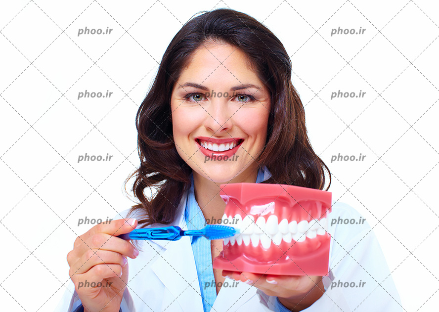 عکس با کیفیت پزشک با لبخند زیبا و روپوش سفید در حال مسواک زدن ماکت دندان انسان