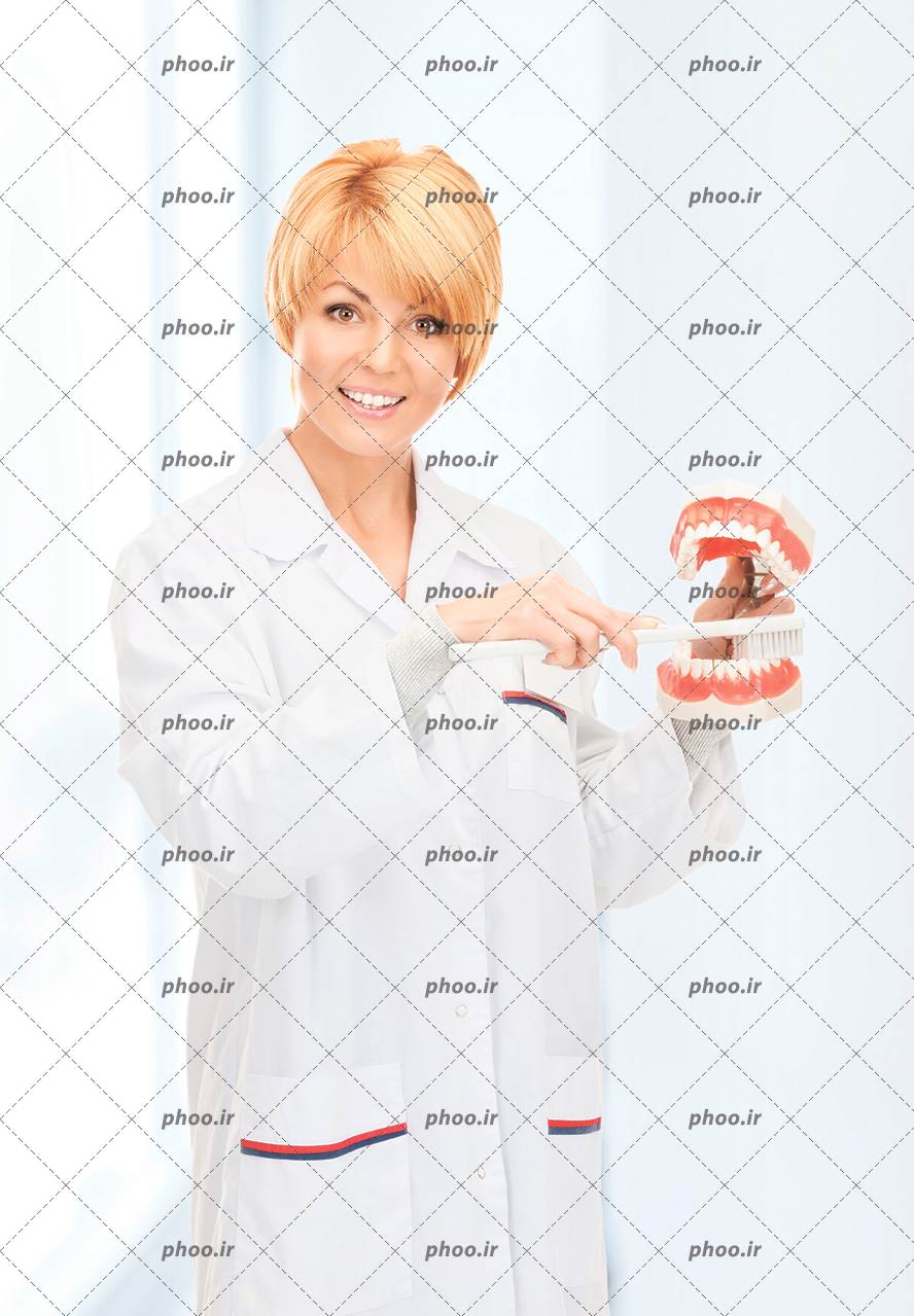 عکس با کیفیت دندان پزشک با لبخند زیبا و روپوش سفید در حال مسواک زدن ماکت دندان انسان