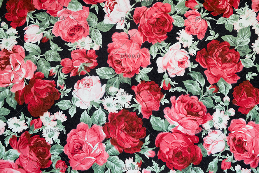 عکس با کیفیت گل های رز صورتی و قرمز زیبا در بک گراند مشکی