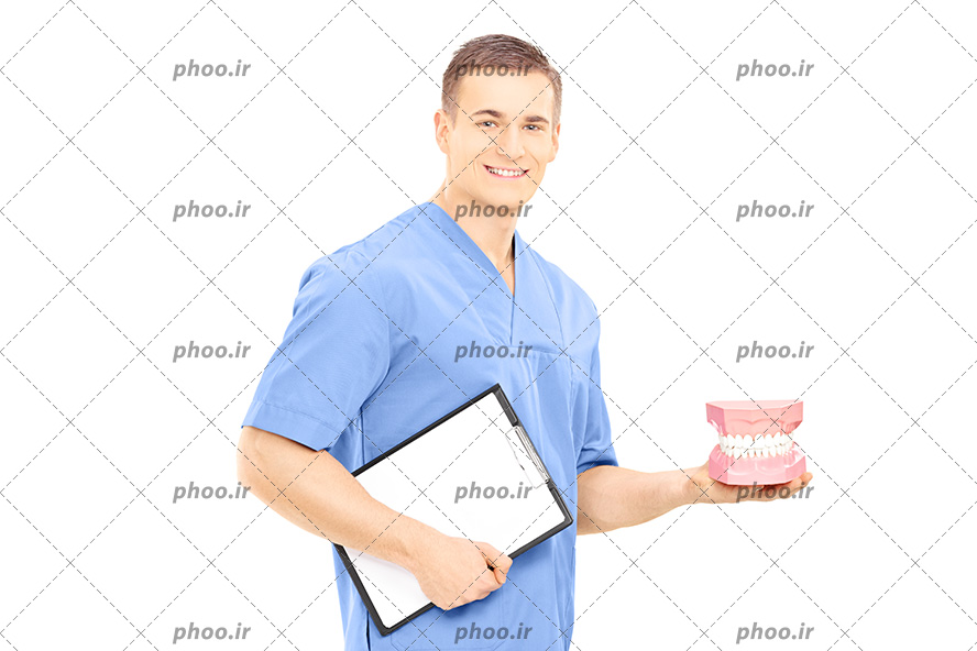 عکس با کیفیت دندانپزشک با روپوش آبی و لبخند بر لب و ماکت دندان و تخته شاسی در دستش