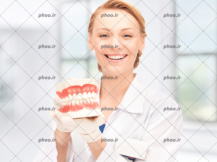 عکس با کیفیت دندانپزشک با روپوش سفید و لبخند زیبا بر لب و ماکت دندان انسان در دست پزشک