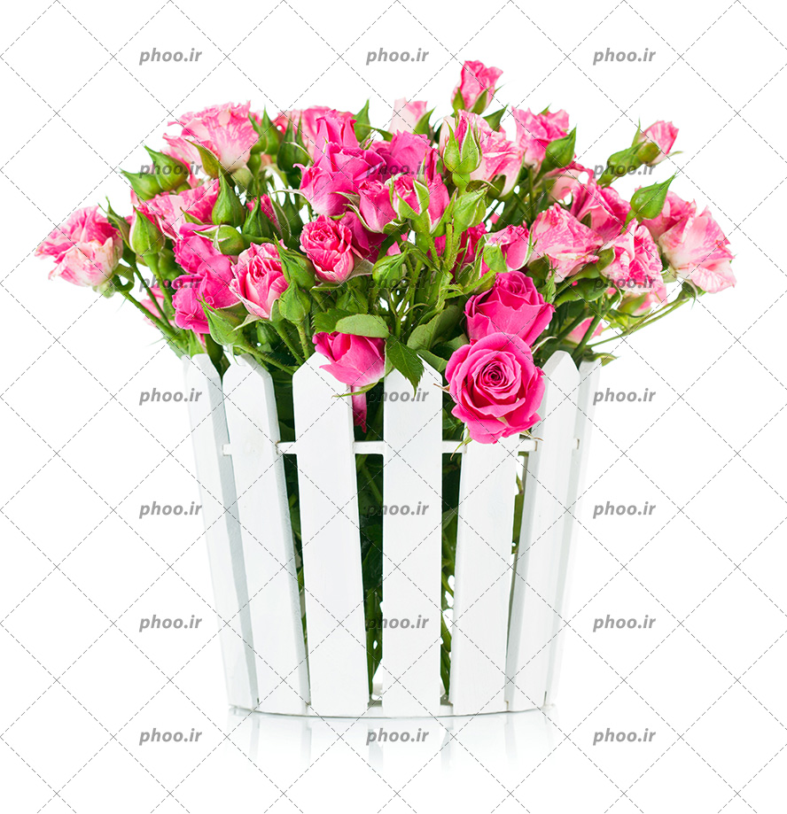 عکس با کیفیت گلدان چوبی به رنگ سفید و پر شده از گل های رز صورتی زیبا