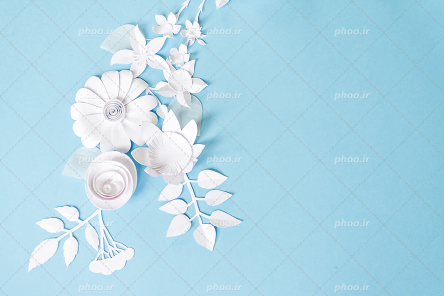 عکس با کیفیت گل های برجسته سفید همراه با برگ در پس زمینه آبی مناسب برای والپیپر