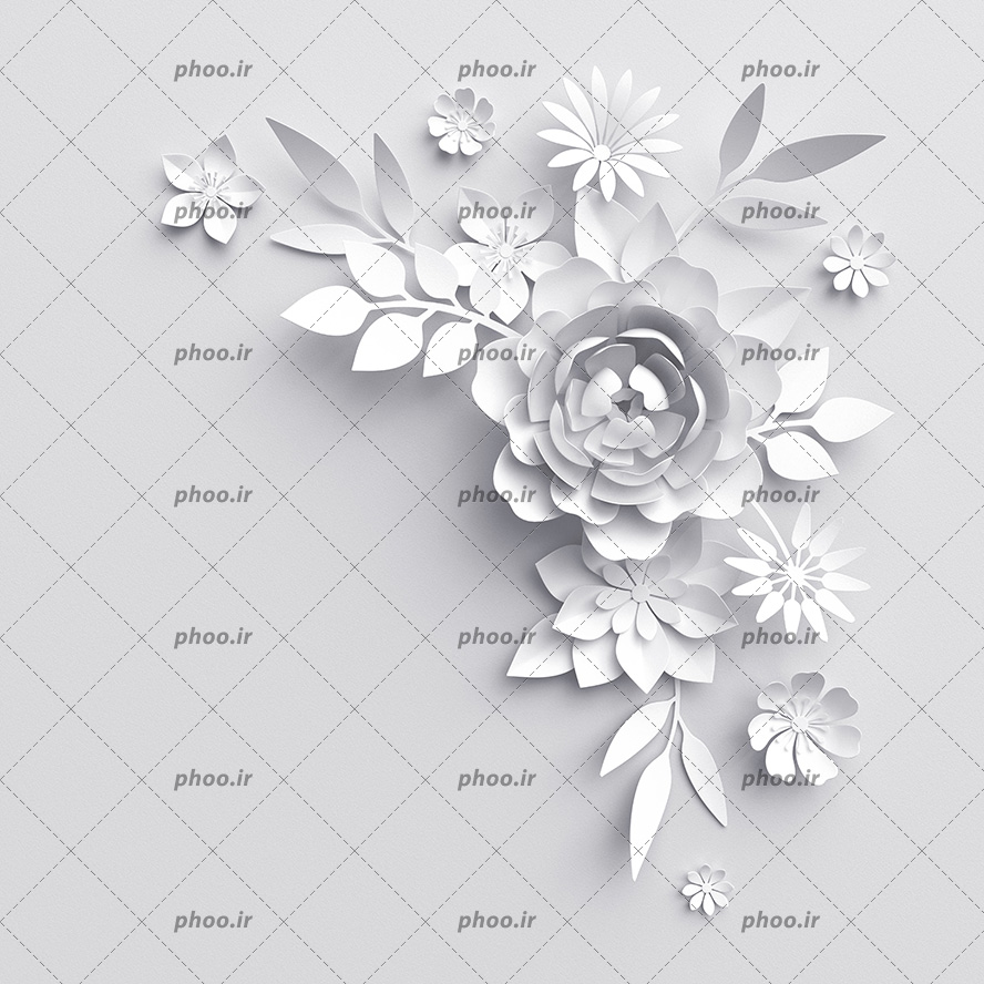 عکس با کیفیت گل های زیبا به صورت برجسته و به رنگ سفید مناسب برای والپیپر ها و دیوارپوش ها