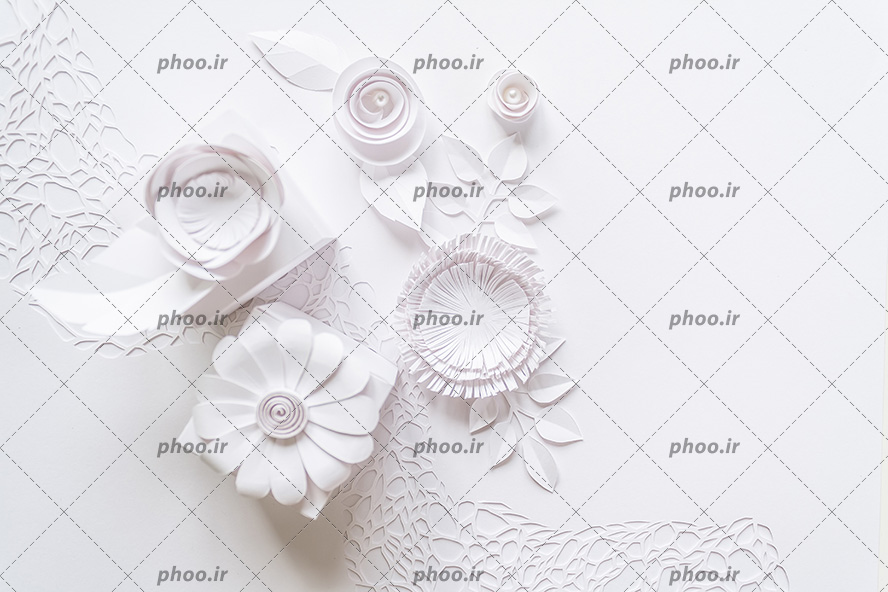 عکس با کیفیت گل های کاغذی سه بعدی به رنگ سفید با شکل های مختلف در کنار یکدیگر