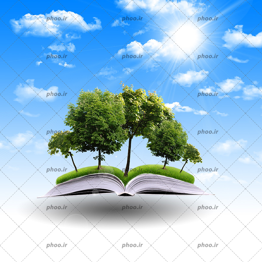 عکس با کیفیت درختان سر سبز زیبا بر روی صفحات چمنی کتاب و آسمان در بالای تصویر